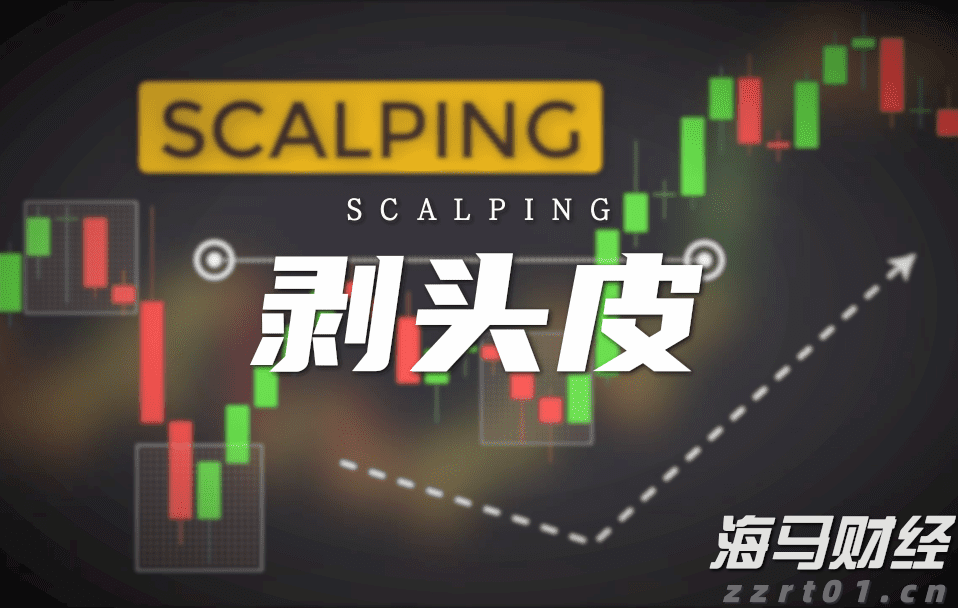 我市启用驾培公共服务平台