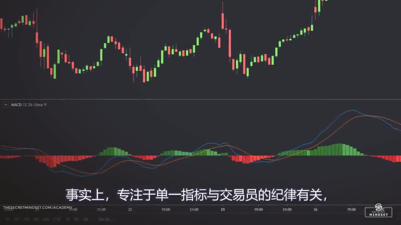 以“档案视角”讲好雷州故事