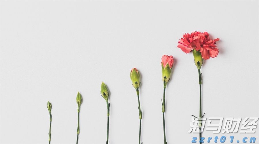 以“心”质生产力引领周黑鸭（01458）向未来，创始人周富裕提出“两大倡议”推动行业升级